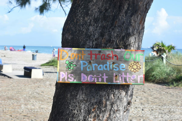 Surfing Sustainability: Conservation Efforts Along the Panamanian Coast