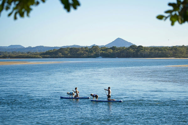 From Still Waters to Sunset Drift: A Day in the Life of a Panamanian Paddleboarder