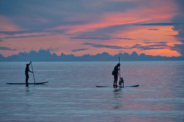 Eco-Paddleboarding: Apoyando el Turismo Sostenible en Panamá