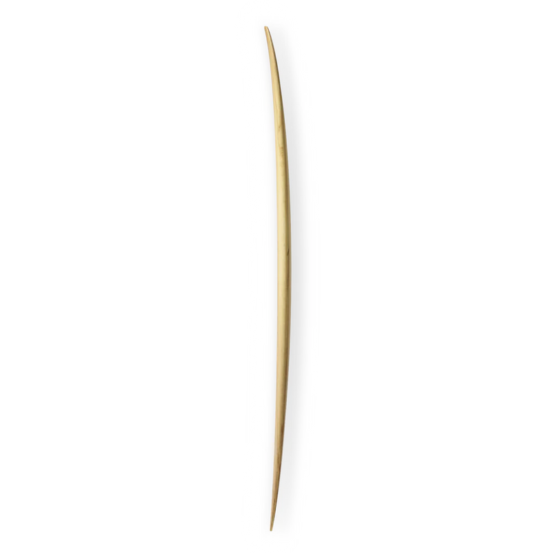 Firewire Taylor Jensen Pro