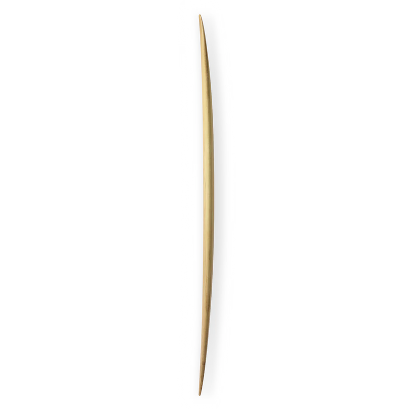 Firewire Special T